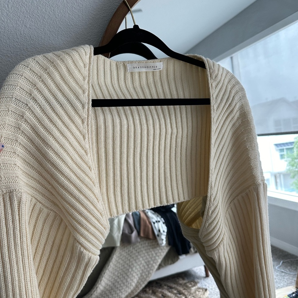 Grasshopper Dancer Sleeve Cropped Sweater - image 1